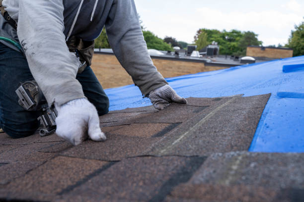 Best Commercial Roofing Services  in Magee, MS