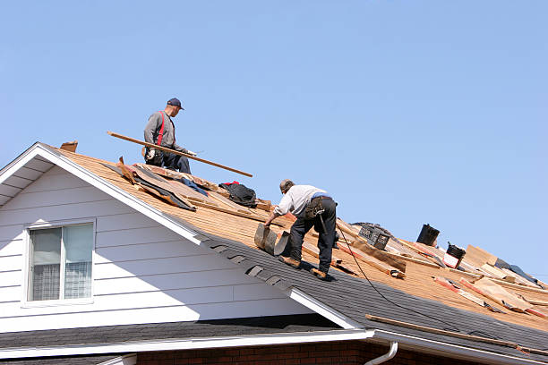 Best Asphalt Shingle Roofing  in Magee, MS