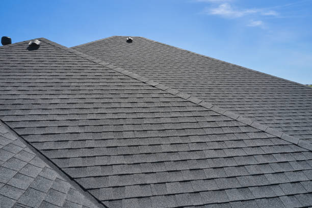 Best Roof Ventilation Installation  in Magee, MS